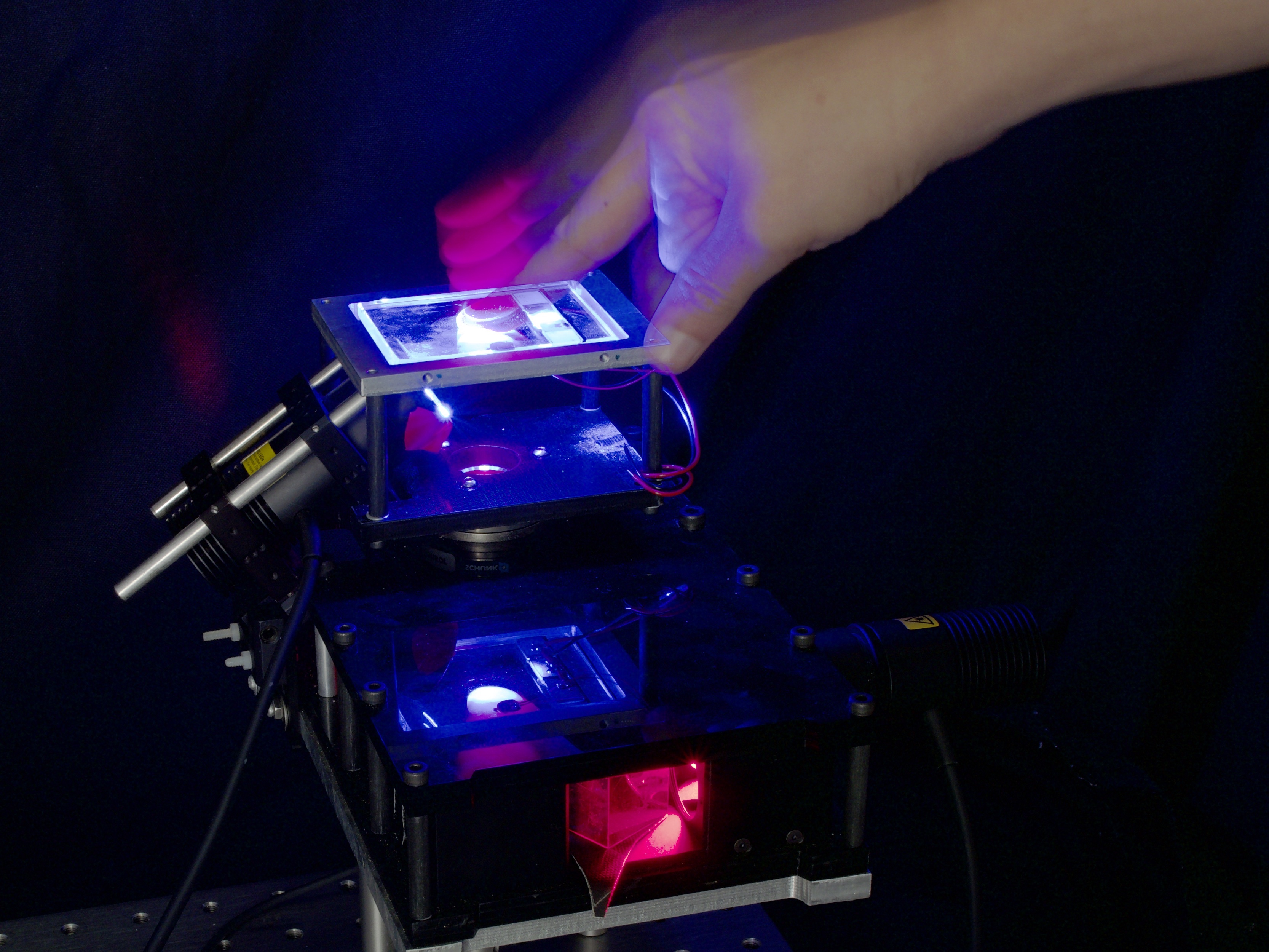 Initial contact shapes the perception of friction